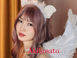 Akikosato