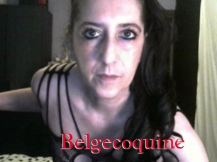Belgecoquine