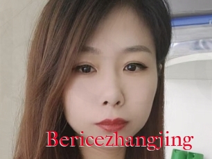 Bericezhangjing