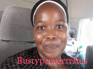 Bustyperverttatas