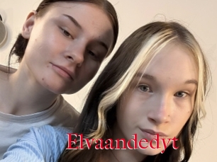 Elvaandedyt