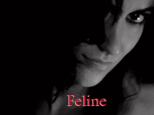 Feline
