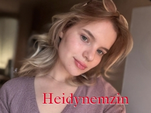 Heidynemzin