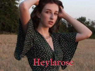 Heylarose