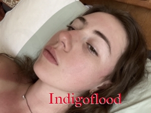 Indigoflood