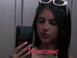 Irissrosse