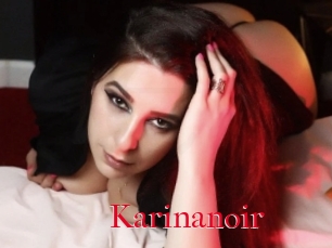 Karinanoir