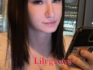 Lilygrows