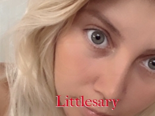 Littlesary