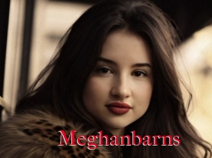 Meghanbarns