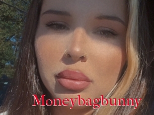 Moneybagbunny