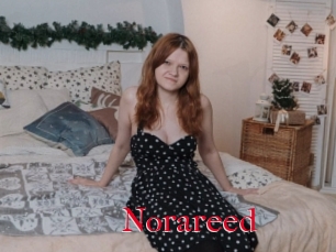 Norareed