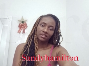 Sandyhamilton