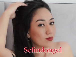 Selindongel